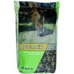 Energys Dynamix müsli 20 kg – Hledejceny.cz