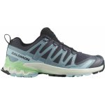 Salomon Xa Pro 3D V9 W L47748000 turbulence/iced aqua/patina green – Zboží Mobilmania