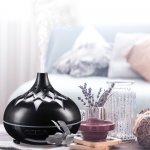 Sixtol Aroma difuzér Palm černý lesk 500 ml – Hledejceny.cz