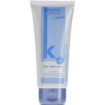 Salerm Keratin Shot maska Deep Impact plus 200 ml – Zboží Mobilmania