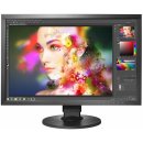 Eizo CS2420