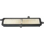 BIKETEC PARTS vzduchový filtr SUZUKI UH 125/200 BURGMAN 07-19 (HFA3103) – Hledejceny.cz