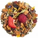 Renovality Dětský čaj BIO 100 g – Hledejceny.cz