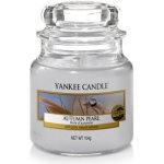 Yankee Candle Autumn Pearl 104 g – Zbozi.Blesk.cz