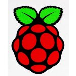 Samolepka s logem Raspberry Pi - Velikost : Velká (58 mm x 44 mm) – Sleviste.cz