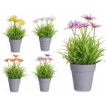 Ibergarden Umělé sedmikrásky různé druhy v květináči 86832 – Sleviste.cz