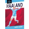 Kniha Hvězdy fotbalového hřiště - Haaland - Harry Coninx