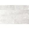 Equipe LA RIVIERA Gris Nuage 6,5 x 20 cm EQ-3 0,5m²