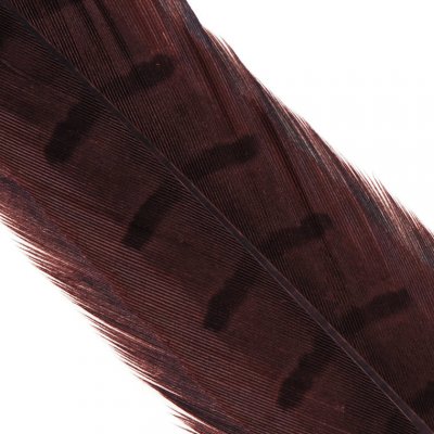 Hends Ocasní Pero z Bažanta Pheasant Tail Claret – Hledejceny.cz
