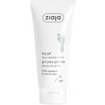 Ziaja Leg Gel kaštanový gel na nohy 100 ml – Sleviste.cz