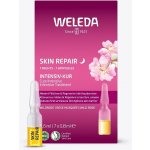 Weleda 7 denní intenzivní kúra Divoká růže Skin Repair Intensive Treatment 7 x 0,8 ml – Zboží Dáma