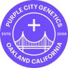 Semena konopí Purple City Genetics Alfajores semena neobsahují THC 3 ks
