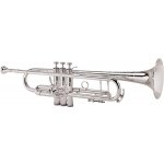 King 2055T Silver – Zboží Dáma