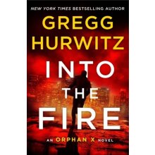 Into the Fire - Gregg Hurwitz