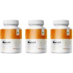 MycoMedica BIO Reishi PRO 3 x 90 kapslí – Hledejceny.cz