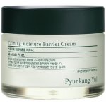 Pyunkang Yul Calming Moisture Barrier Cream 50 ml – Zboží Dáma