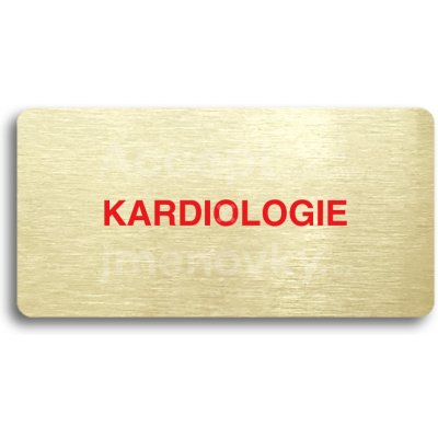 ACCEPT Piktogram KARDIOLOGIE - zlatá tabulka - barevný tisk bez rámečku – Hledejceny.cz