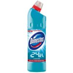 Domestos 24h Atlantic Fresh tekutý desinfekční a čisticí prostředek 750 ml – Hledejceny.cz