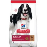 Hill’s Adult Medium Lamb & Rice 2,5 kg – Hledejceny.cz