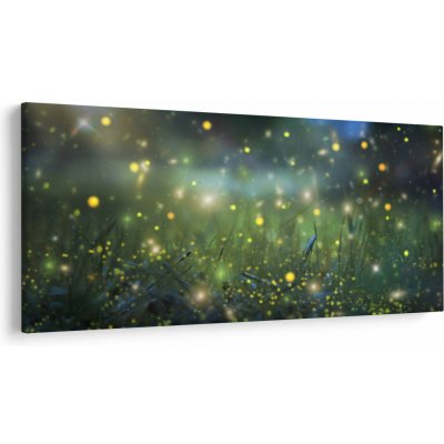 Obraz - Kouzelná noc, jednodílný 200x100 cm – Hledejceny.cz