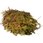 HabiStat Sphagnum Moss 1 kg – Zboží Mobilmania