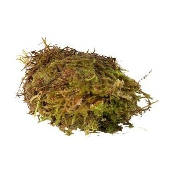 HabiStat Sphagnum Moss 1 kg