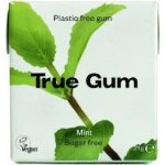 True gum máta 21 g – Zboží Dáma