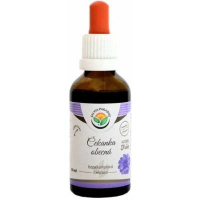 SALVIA PARADISE Tinktura Čekanka Kořen 50 ml – Hledejceny.cz