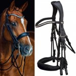 Schockemöhle Uzda Venice anatomická černá lakovaná stříbrná – Sleviste.cz