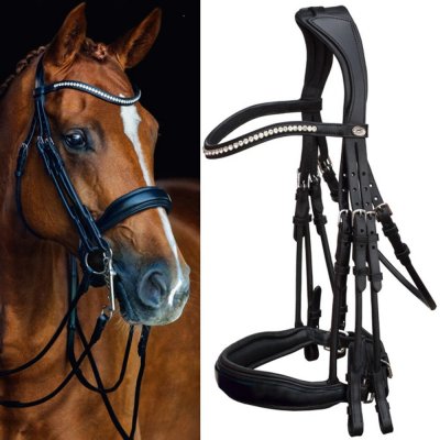 Schockemöhle Uzda Venice anatomická černá lakovaná stříbrná – Sleviste.cz