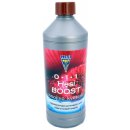 Hesi Boost 500 ml