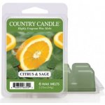 Kringle candle vonný vosk citrus sage 64 g – Zboží Mobilmania