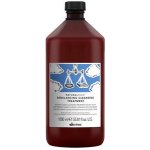 Davines Naturaltech Rebalancing Cleansing Treatment 1000 ml – Hledejceny.cz