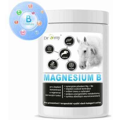 Dromy Magnesium B 100 100 denních dávek 1 kg – Zboží Dáma