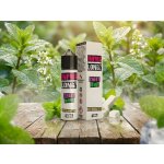 Infamous LongZ Shake & Vape Sweet Mint 10 ml – Hledejceny.cz