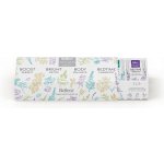 Biogena Wellness Selection kazeta čajů maxi 4 x 10 ks – Sleviste.cz