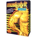 Muskulvit Mega 300 g – Hledejceny.cz