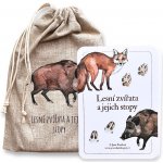 Lesní zvířata v ČR a jejich stopy poznávací karty – Zboží Dáma