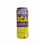 Best Body nutrition BCAA drink Skyler 330 ml – Hledejceny.cz