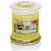 Svíčka Ceramicus ZELENÝ ČAJ MATCHA 260 g