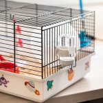 Ferplast Criceti 9 Space Klec pro křečky White 46 x 29,5 x 23 cm – Zboží Dáma