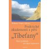 Kniha Gillessen, Brigitte - Praktické zkušenosti s pěti Tibeťany