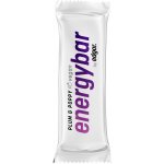 Edgar Power Energybar 20 x 50 g – Zboží Dáma