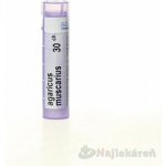 AGARICUS MUSCARIUS POR 30CH GRA 1X4G – Hledejceny.cz