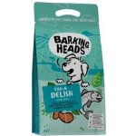 Barking Heads All Hounder Tummy Lovin' Care Fish 2 kg – Hledejceny.cz