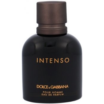 Dolce & Gabbana Intenso parfémovaná voda pánská 75 ml