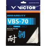 Victor VBS-70 10m