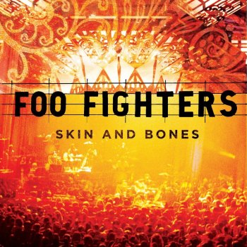 Foo Fighters - Skin And Bones CD