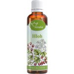 Serafin Hloh tinktura z bylin 50 ml – Hledejceny.cz
