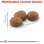 Royal Canin Sterilised 2 x 10 kg – Sleviste.cz